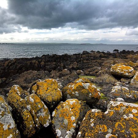 Tern Cottage Groomsport Buitenkant foto