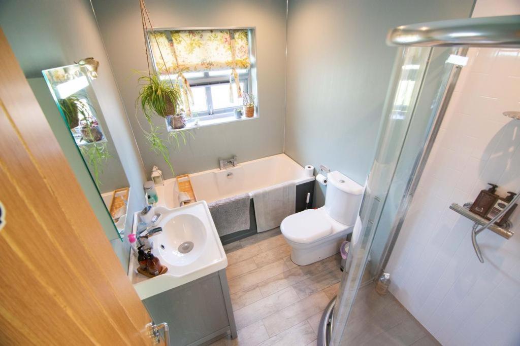 Tern Cottage Groomsport Buitenkant foto