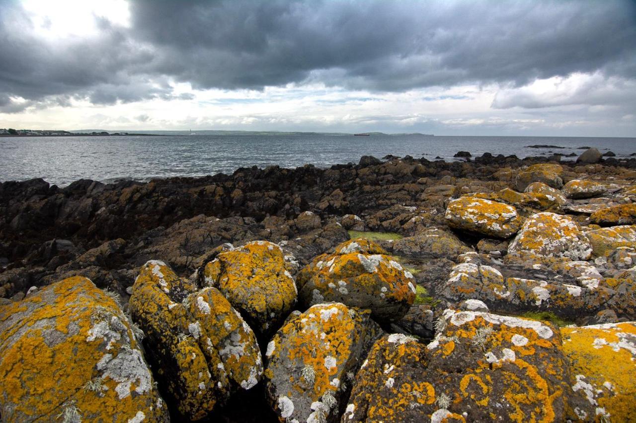 Tern Cottage Groomsport Buitenkant foto